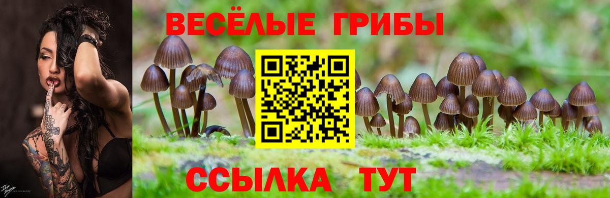 Псилоцибиновые грибы ЛСД  Вход с VPN  Ефремов 